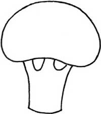西兰花简笔画
