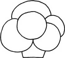 西兰花简笔画