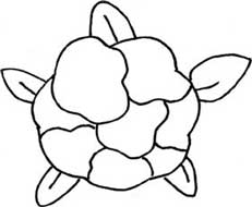 西兰花简笔画
