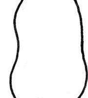 花生简笔画