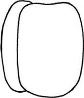 青椒简笔画