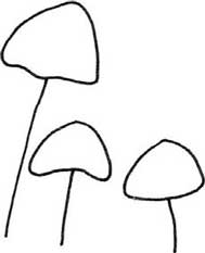 蘑菇简笔画