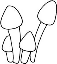 蘑菇简笔画