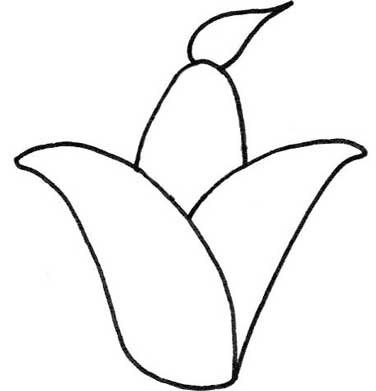 玉米简笔画