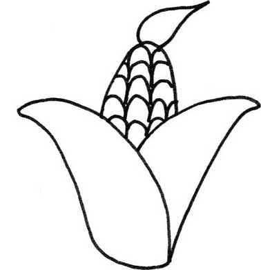 玉米简笔画