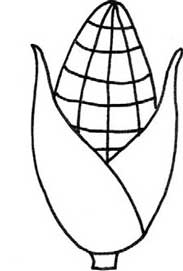 玉米简笔画