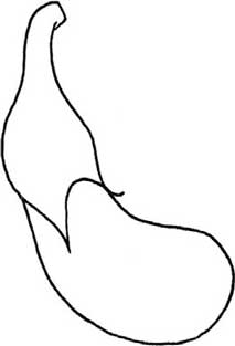 茄子简笔画