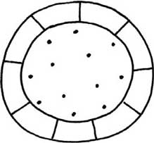 饼干简笔画