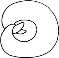面包简笔画