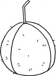 饮料简笔画