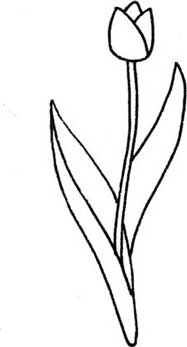 玫瑰简笔画