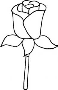 玫瑰简笔画