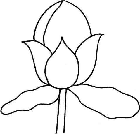 玫瑰简笔画