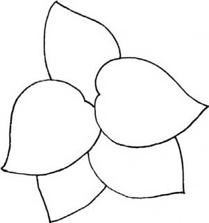 竹芋简笔画