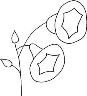 牵牛花简笔画