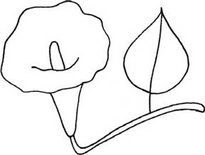 牵牛花简笔画