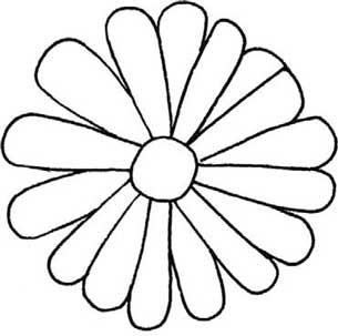 菊花简笔画