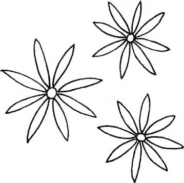菊花简笔画