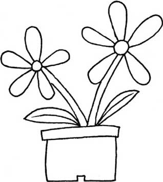 菊花简笔画