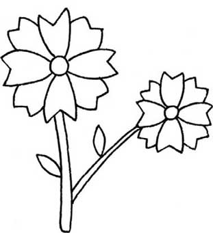 菊花简笔画