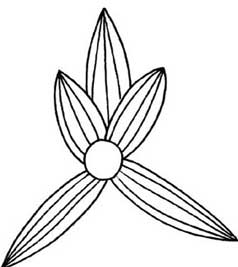 兰花简笔画