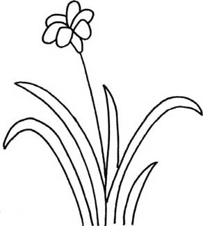 兰花简笔画