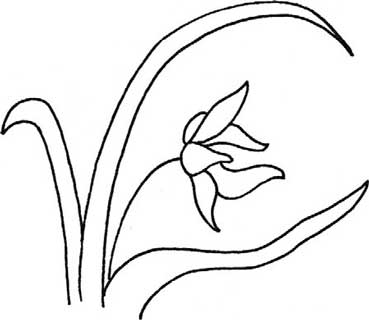 兰花简笔画