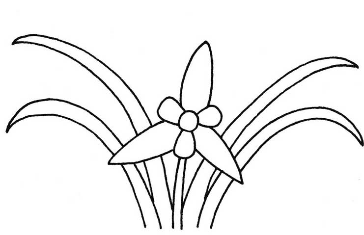 兰花简笔画
