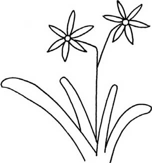 兰花简笔画