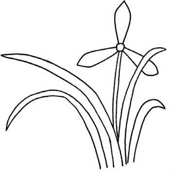 兰花简笔画