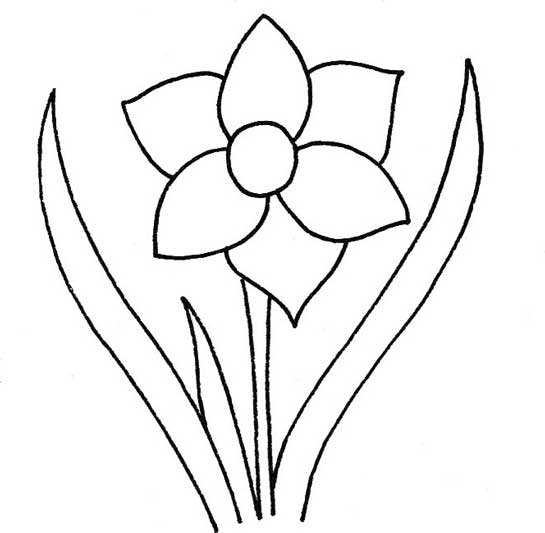 水仙简笔画