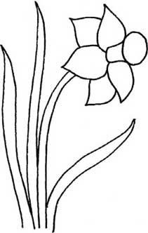 水仙简笔画