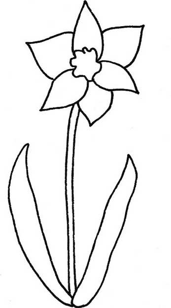 水仙简笔画