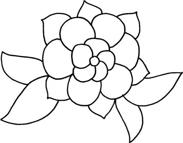 茉莉简笔画