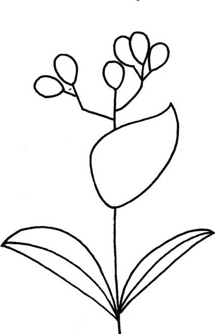 茉莉简笔画