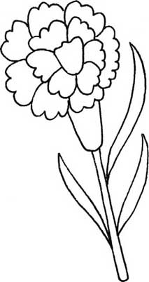 康乃馨简笔画