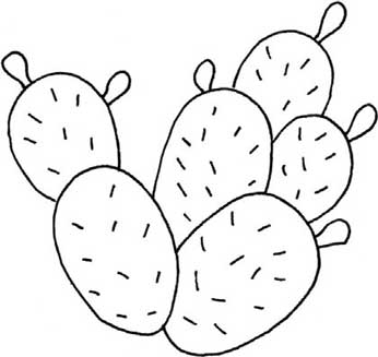仙人掌简笔画