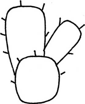 仙人掌简笔画