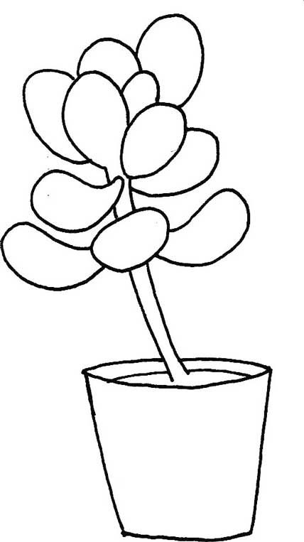 多肉植物简笔画
