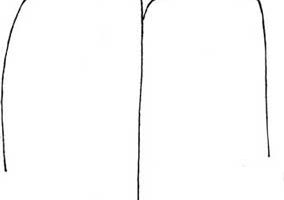 柳树简笔画