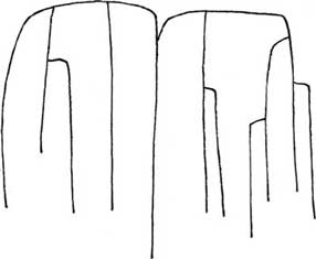柳树简笔画