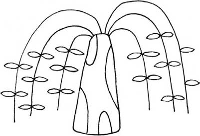 柳树简笔画