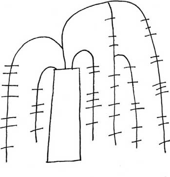 柳树简笔画