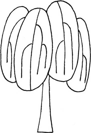 柳树简笔画