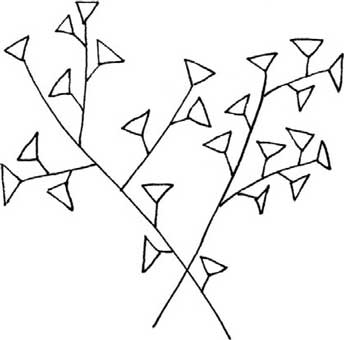 银杏树简笔画