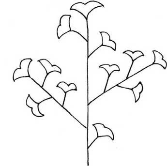 银杏树简笔画