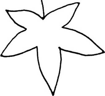 枫叶简笔画