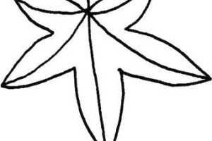 枫叶简笔画