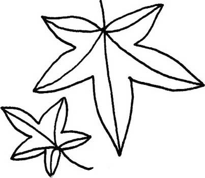 枫叶简笔画