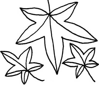 枫叶简笔画